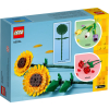 Lego MERCHANDISE 40524 Słoneczniki